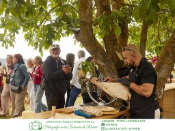 Festival Mar de Tethys 2026 - Bodega Vetas